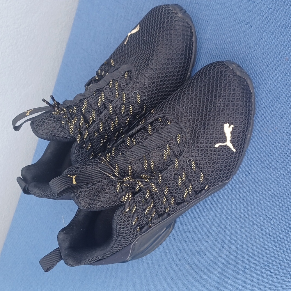 Pumas